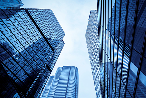 Company overview